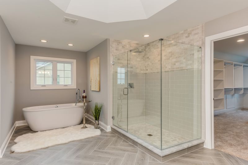 Bathtub Conversion to Shower